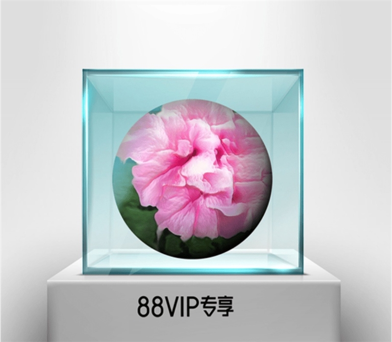 淘宝88VIP