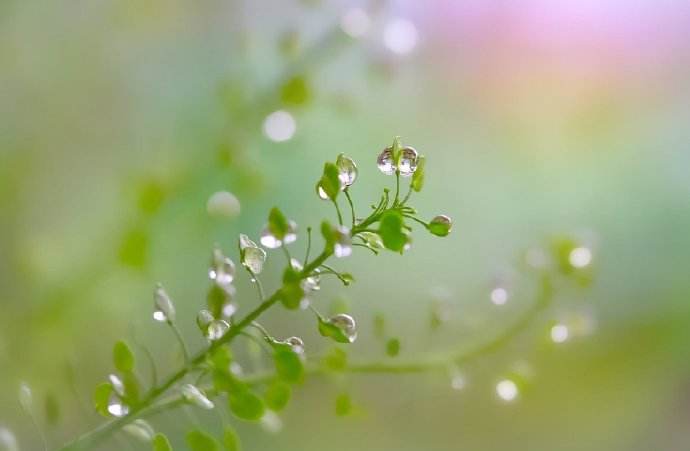 立春,二十节气,中国节假日