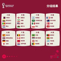 荷兰国家队2022卡塔尔世界杯阵容曝光