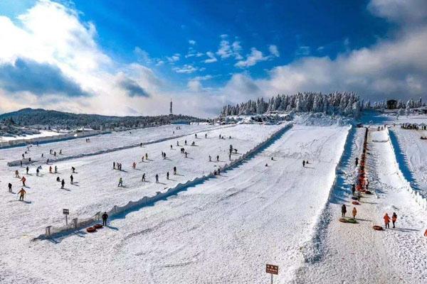 仙女山滑雪场怎么去(附具体地址及交通指南)