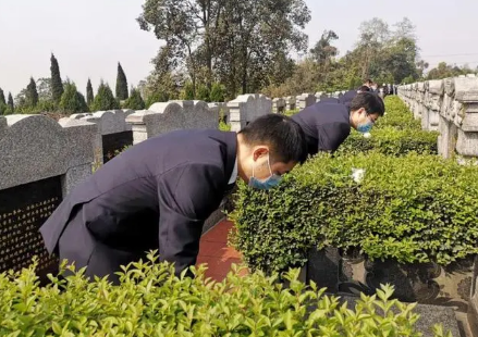 上海清明扫墓如何网上预约