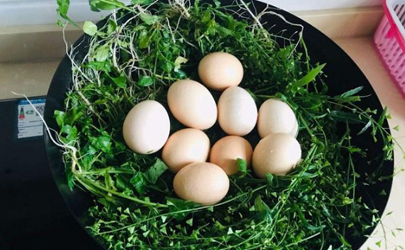 农历三月三荠菜煮鸡蛋的做法