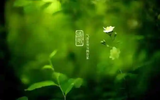 清明节上坟几点钟去比较好