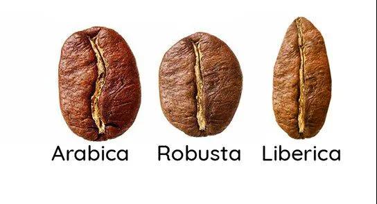 咖啡主产区与咖啡豆品种风味特征的差异