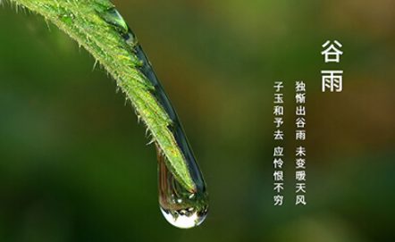 谷雨这天动针线有啥说道吗