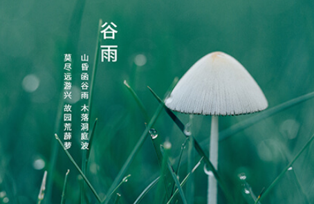 谷雨这天都有哪些讲究